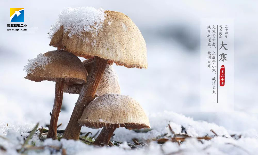 大寒，唯美冰雪迎新春！